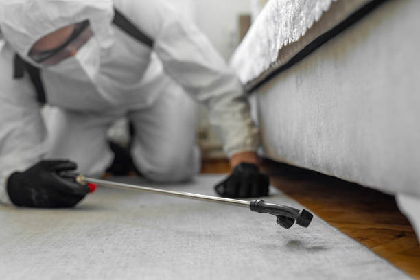 Professional Pest Control technician working in Fox Lake, IL