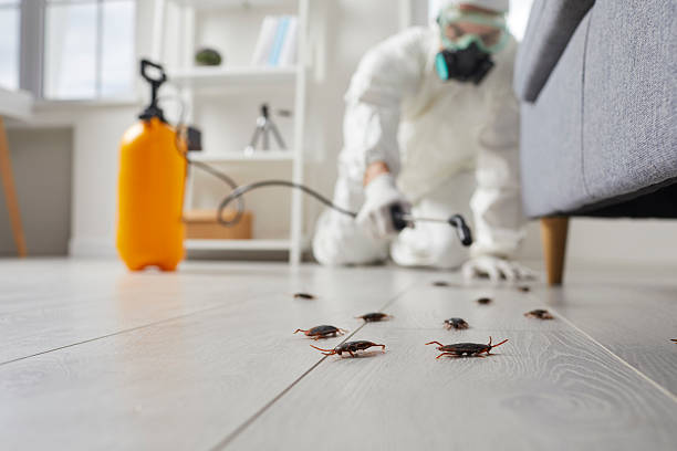 Trusted Rodent Control service in Fox Lake, IL - Nex Pest Control