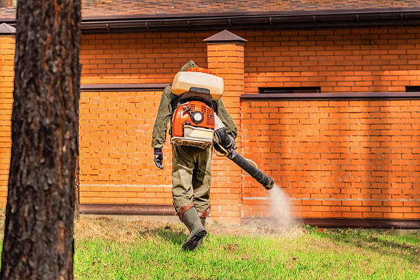Trusted Bed Bug Control service in Fox Lake, IL - Nex Pest Control